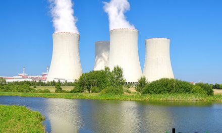 Jaderné elektrárny Temelín a Dukovany jsou prý bezpečné. Obhájily titul Bezpečný podnik