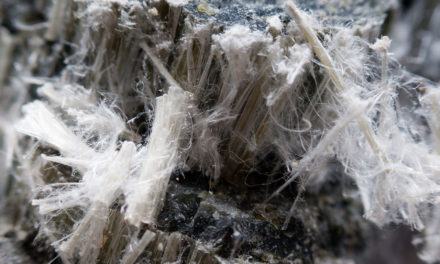 Azbest (osinek). Zdravotní rizika, expozice a bezpečná likvidace